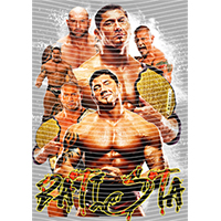 idol singer-GS  2389